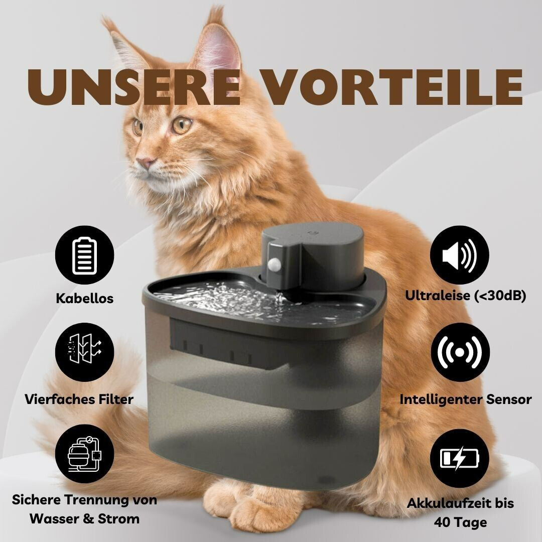 Katzenbrunnen Für Katzen Mit Sensor,2L Katzenbrunnen Kabellos,30Db Extrem Leiser